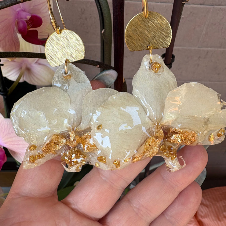 Orchidea oro + mimì
