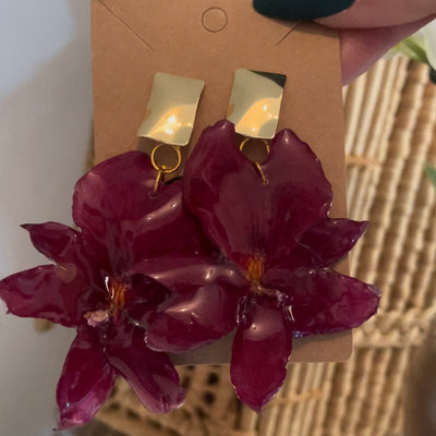 Orchidea rossa